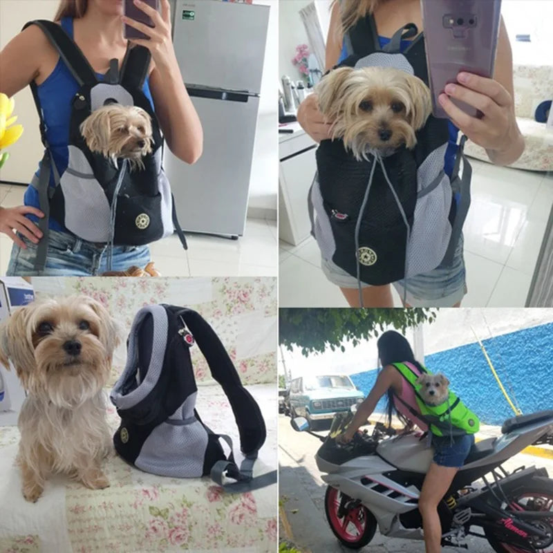 Portable travel dog backpack