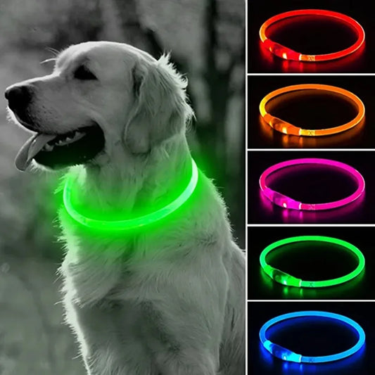 "1pc LED Dog Collar - Luminous USB Rechargeable Cat & Dog Collar with 3 Modes - Loss-Proof LED Light for Halloween Pet Accessories (SM)"