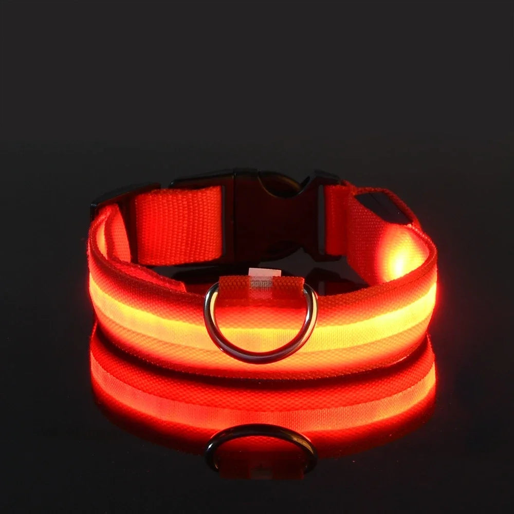 "LED Dog Collar - Nylon Glow-in-the-Dark Night Safety Collar with Flashing Lights | Luminous Fluorescent Pet Leash & Dog Accessories"