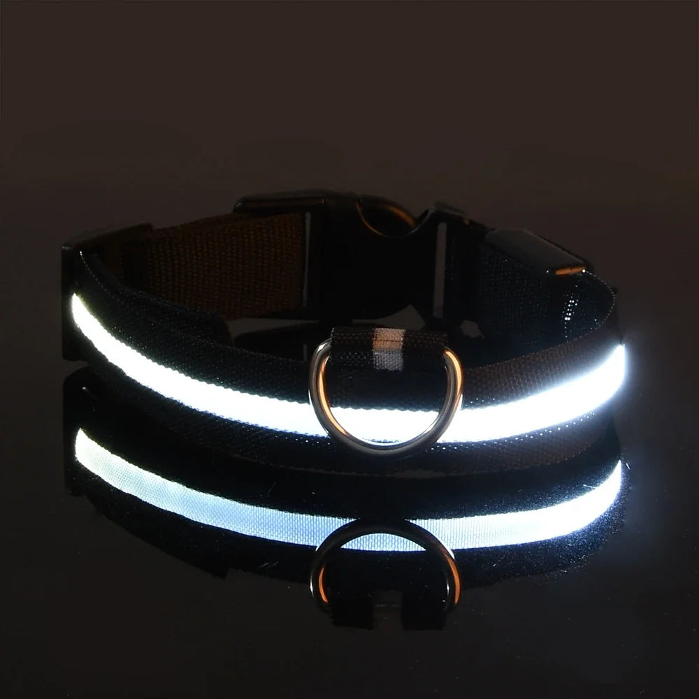 "LED Dog Collar - Nylon Glow-in-the-Dark Night Safety Collar with Flashing Lights | Luminous Fluorescent Pet Leash & Dog Accessories"