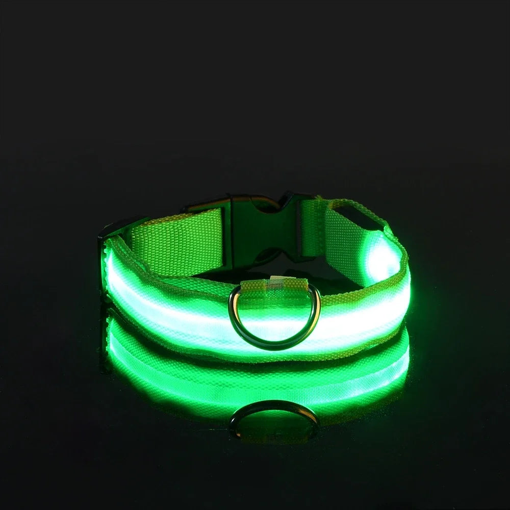 "LED Dog Collar - Nylon Glow-in-the-Dark Night Safety Collar with Flashing Lights | Luminous Fluorescent Pet Leash & Dog Accessories"