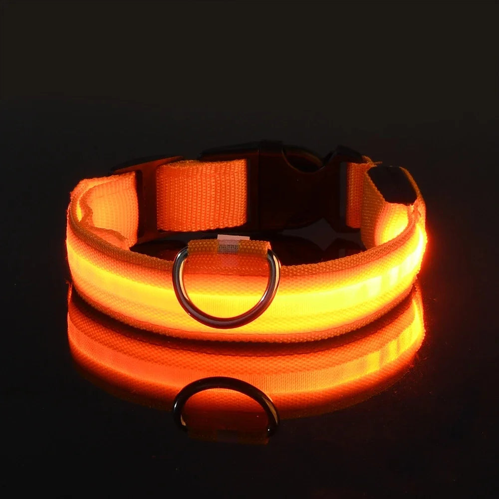 "LED Dog Collar - Nylon Glow-in-the-Dark Night Safety Collar with Flashing Lights | Luminous Fluorescent Pet Leash & Dog Accessories"