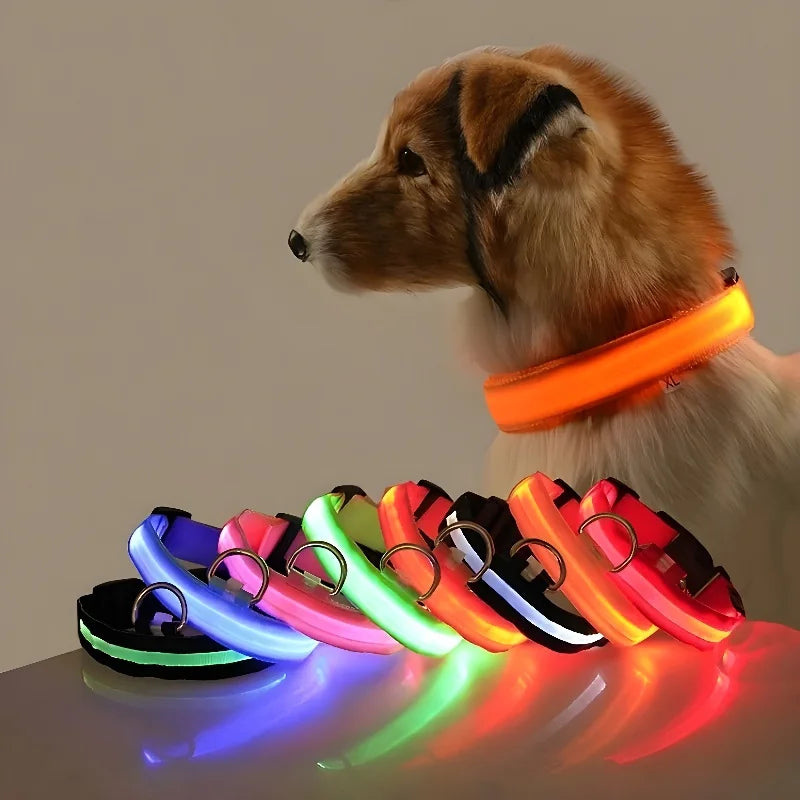 "LED Dog Collar - Nylon Glow-in-the-Dark Night Safety Collar with Flashing Lights | Luminous Fluorescent Pet Leash & Dog Accessories"