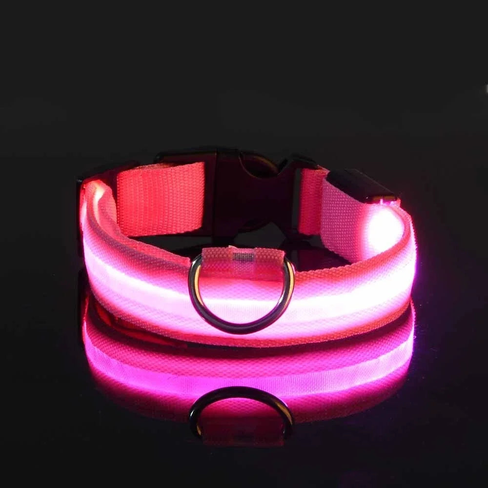 "LED Dog Collar - Nylon Glow-in-the-Dark Night Safety Collar with Flashing Lights | Luminous Fluorescent Pet Leash & Dog Accessories"