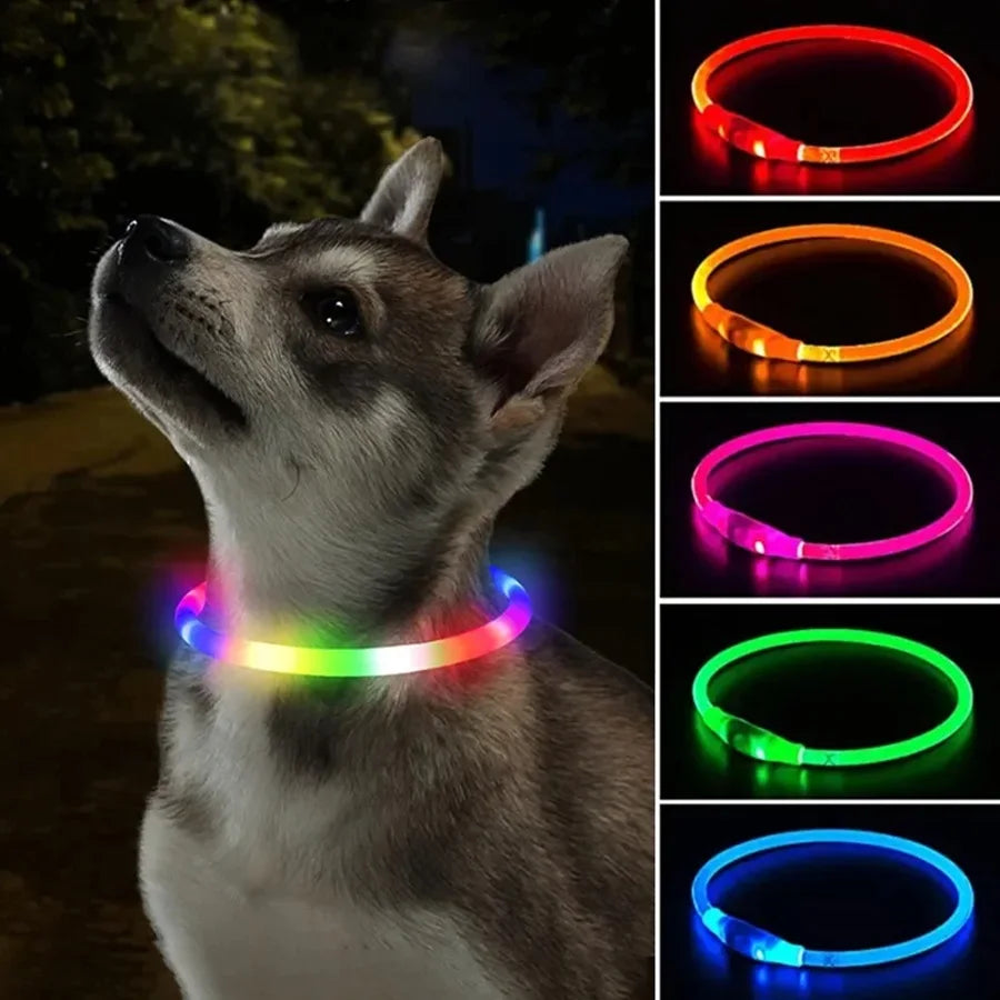 "1pc LED Dog Collar - Luminous USB Rechargeable Cat & Dog Collar with 3 Modes - Loss-Proof LED Light for Halloween Pet Accessories (SM)"